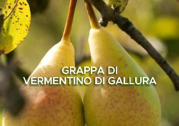 Grappa di Sardegna